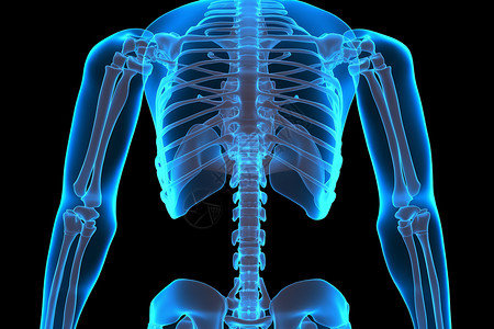 x射线下的骨骼图片