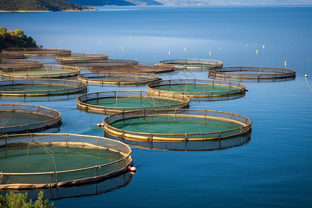 养殖渔业规模化的渔网背景