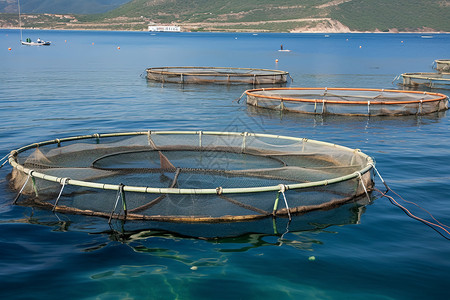 养殖海鲜的渔网背景图片