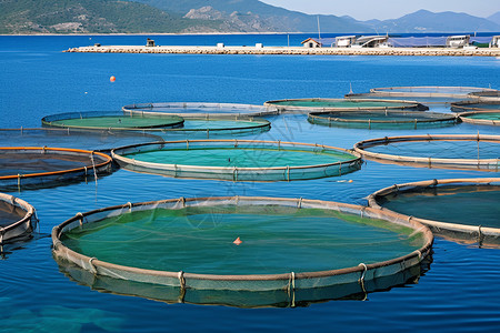 规模化养殖圆形的渔网背景
