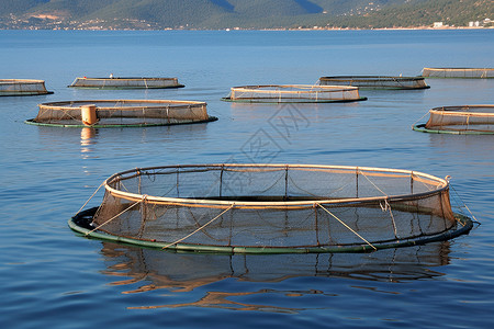 养殖的渔网背景图片