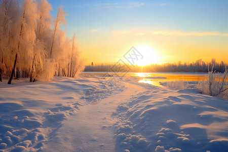 冬季日出日出森林的雪景背景