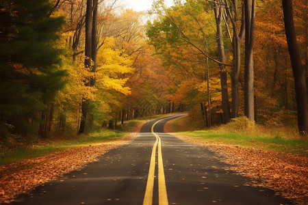 秋天的公路图片
