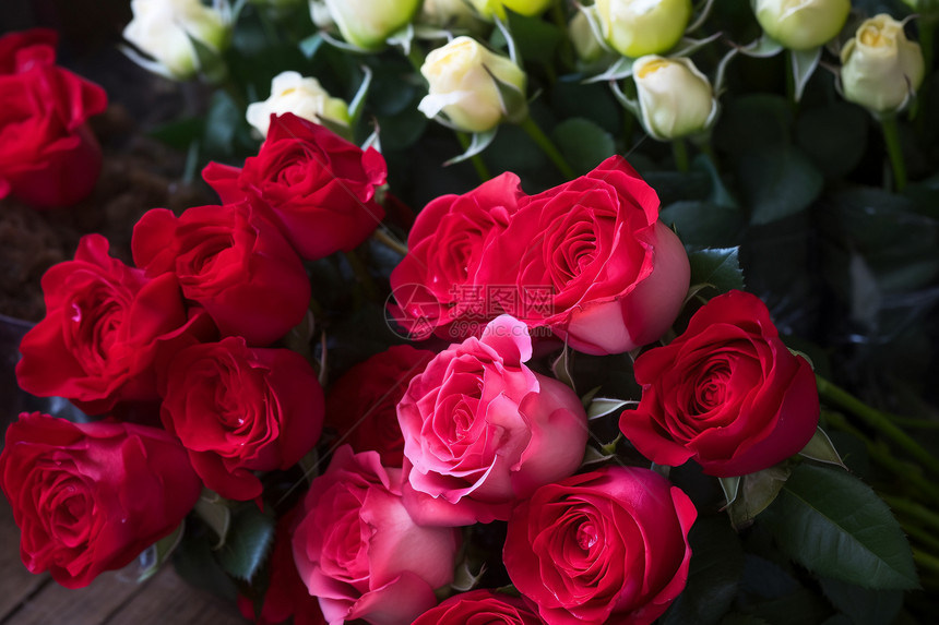 漂亮的玫瑰花束图片