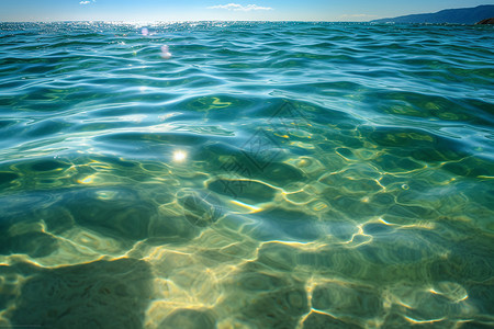 清澈透明的海水图片