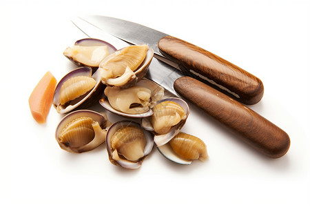 健康的贝壳美食图片