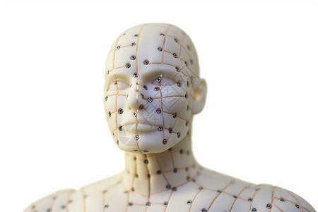 针灸人体模型背景图片