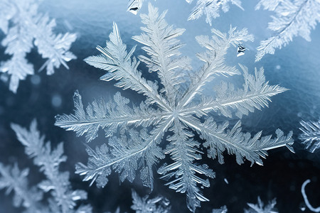 寒冷的天气窗户上的冰霜设计图片