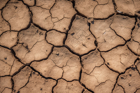 夏季干旱开裂的土壤图片