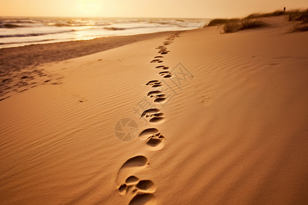 山岩足迹日落海滩上的脚印背景