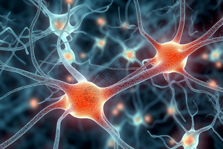 神经放射图的脑细胞背景