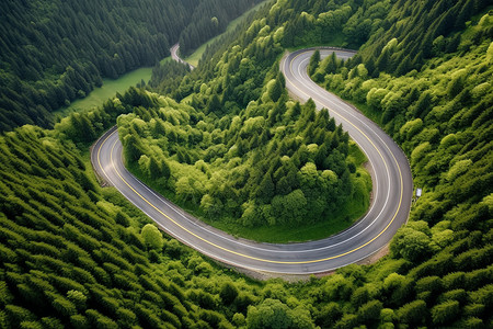 森林里的道路背景图片