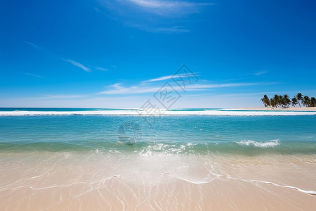 热带沙滩的美景图片