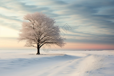 冬季美丽的风景图片