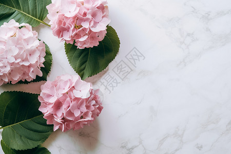 大理石桌面的鲜花背景图片