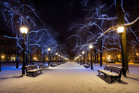 公园雪地上的凳子图片