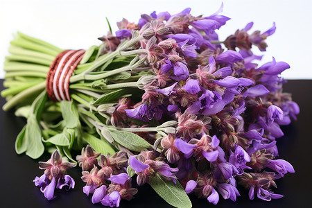 新鲜采摘的紫丁香背景图片