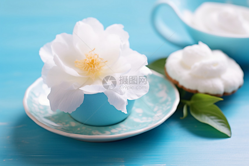 纯白的山茶花图片