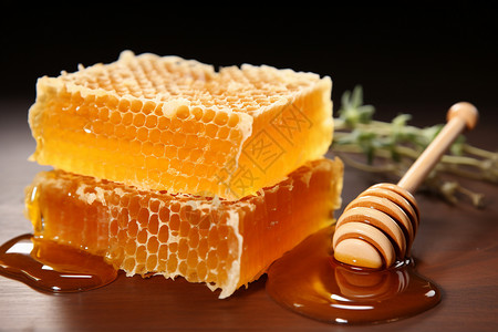 新鲜又营养的蜂蜜图片