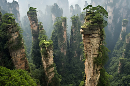 郁郁葱葱的的山峰图片