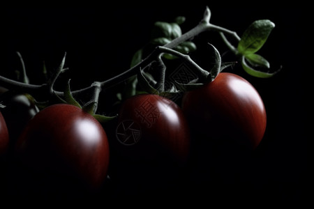 多汁的番茄背景图片