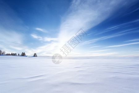 冬天雪地的美丽风景高清图片