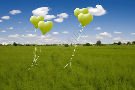 草地上的心形气球图片