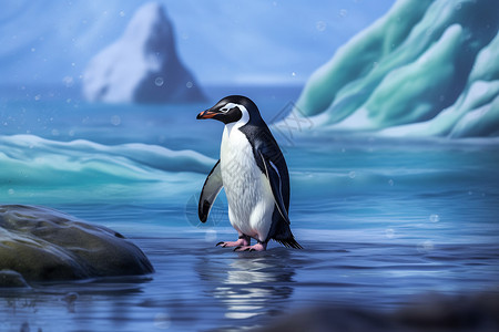 南极冰川的企鹅图片