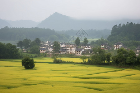 广阔的田野图片