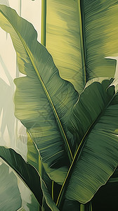 绿色纤维纹理感凸出的香蕉叶插画