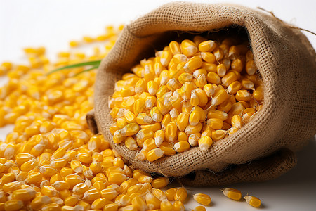 新鲜的玉米粒背景图片