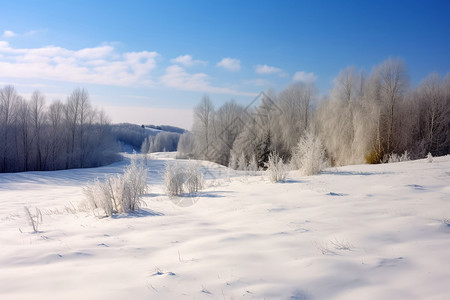 户外美丽的雪景图片