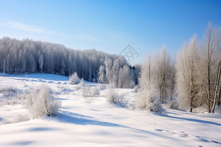 冬天晴朗的天气户外的雪景背景