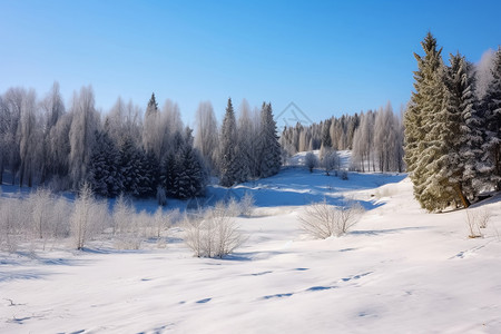 冬天晴朗的天气冬季户外的雪景背景
