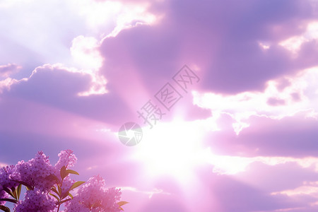 紫色阳光照射背景图片