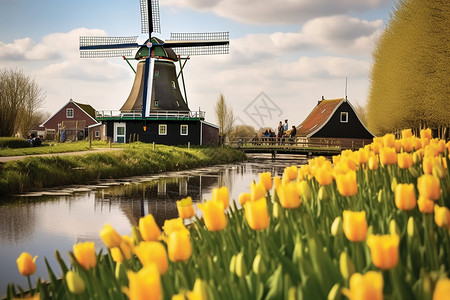 荷兰风车背景图片