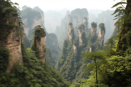 群峰奇石峡谷图片