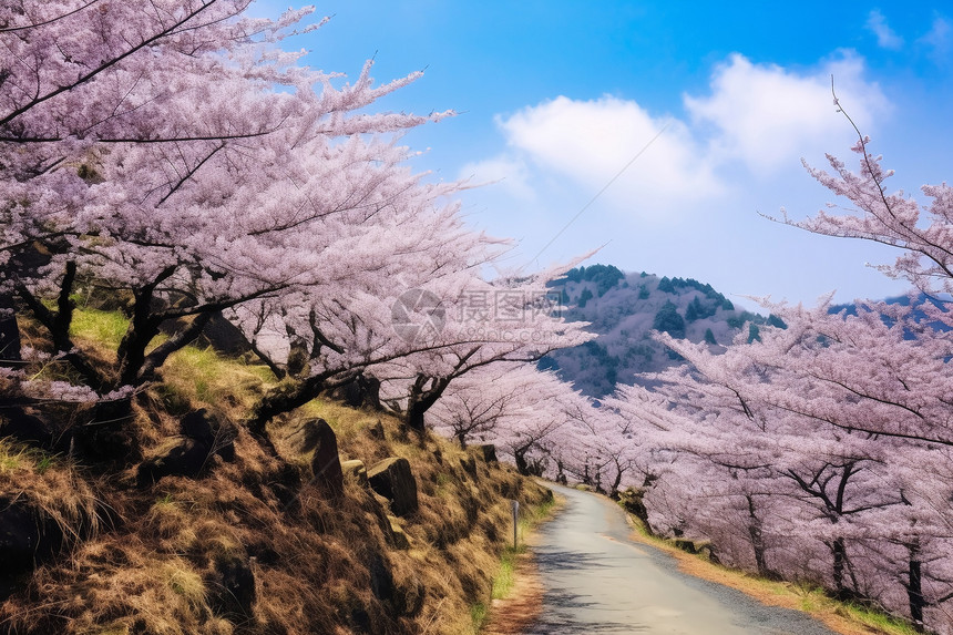 日本旅行图片