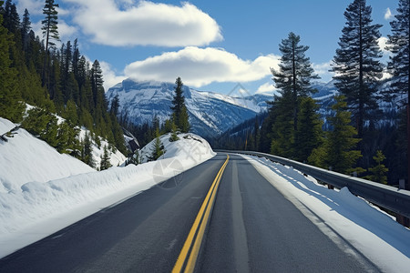 通往冬季森林的道路背景图片