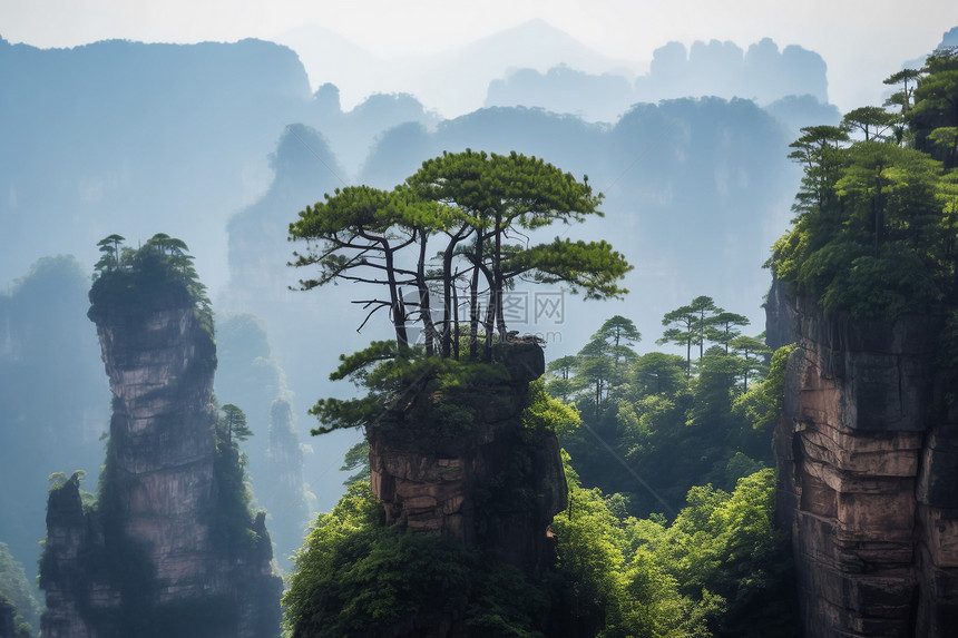 高耸群峰悬崖上的树图片