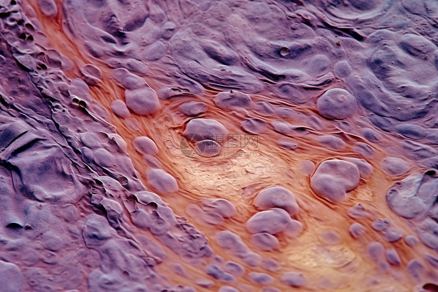 抽象皮肤疾病细胞概念图图片