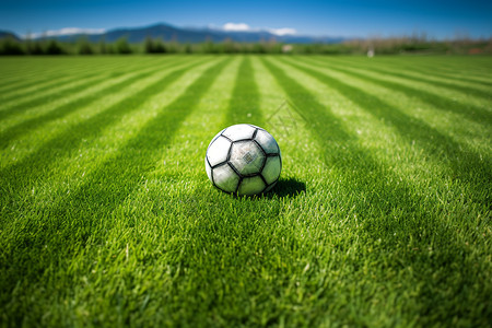 草地上的足球运动图片