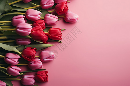 浪漫的郁金香花束背景图片