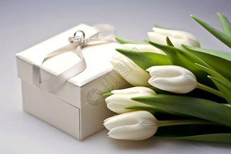 郁金香和礼物背景图片