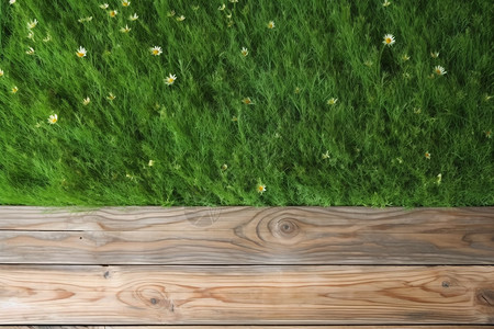 木板前的绿色植物图片