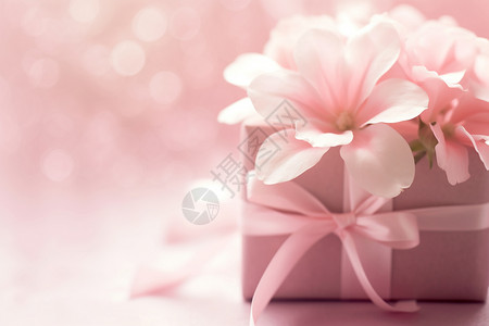 粉色的鲜花礼物图片