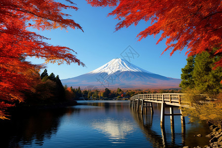 红枫和富士山图片