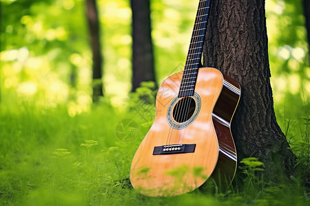 树林中的一把吉他背景