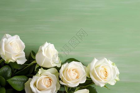 桌上的白玫瑰背景图片