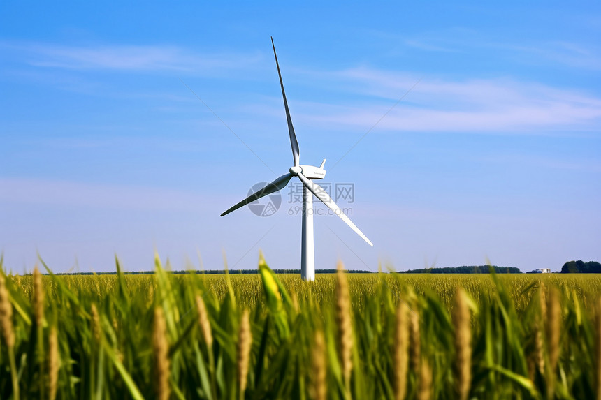 稻田的风力发电机图片